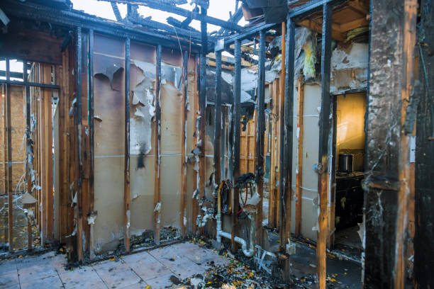 Professional Fire Damage Removal technician working in Sauk Rapids, MN